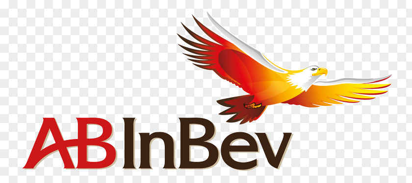 Beer Anheuser-Busch InBev Logo PNG
