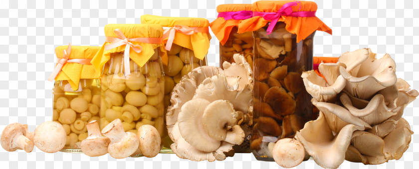 Can Fungus Mushroom Portable Network Graphics Salting PNG Salting, mushroom clipart PNG