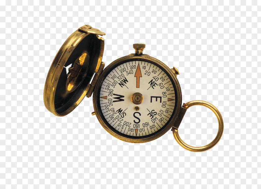 Cartoon Compass White Deer Land Museum Organization St. Lucie County, Florida Location Business PNG