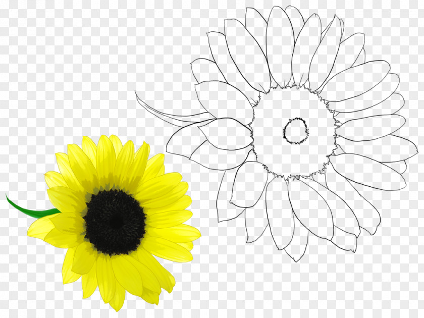 Present Research Chrysanthemum Oxeye Daisy Floral Design Cut Flowers /m/02csf PNG