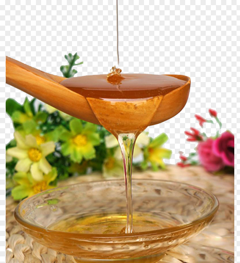 Spoon On The Earth Honey Soil PNG
