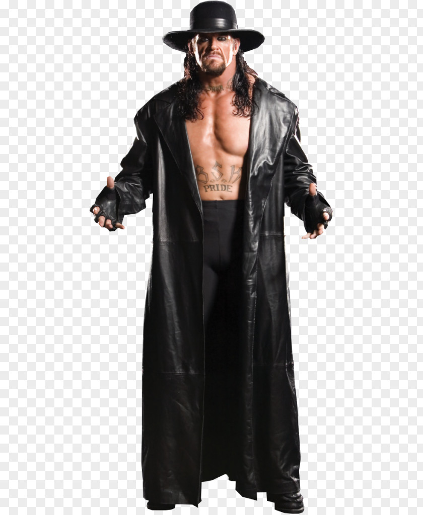 SummerSlam WWE Championship Professional Wrestler The Brothers Of Destruction PNG of Destruction, the undertaker clipart PNG
