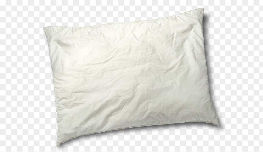 Comfortable Sleep Throw Pillows Cushion PNG