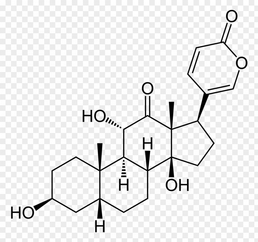 Dehydroepiandrosterone Sulfate Chenodeoxycholic Acid Steroid PNG