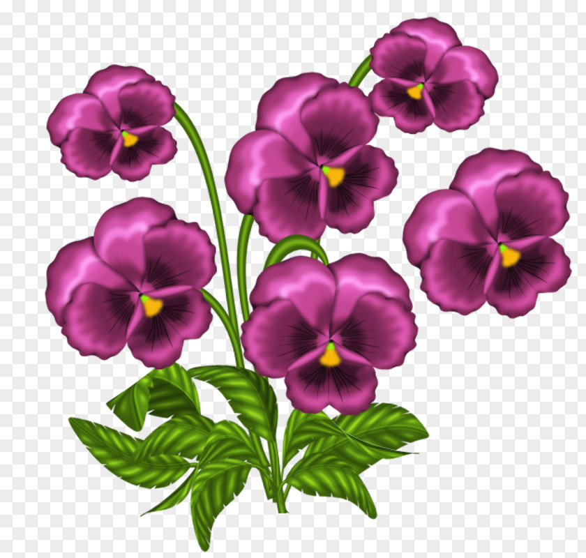 Light African Violets Clip Art PNG