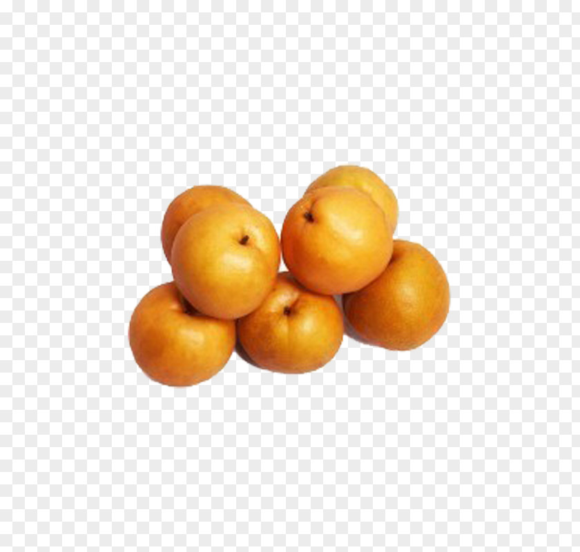 Pear Fruit Clementine Icon PNG