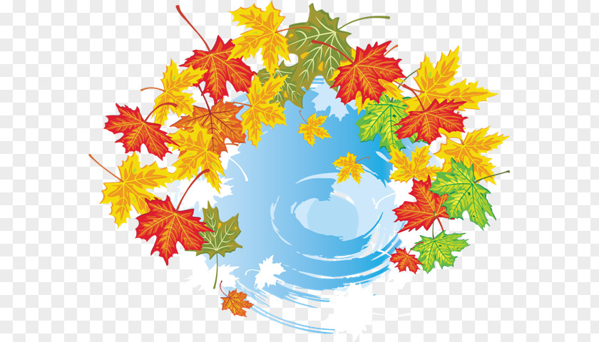 Autumn Leaves Maple Leaf Clip Art Graphics PNG