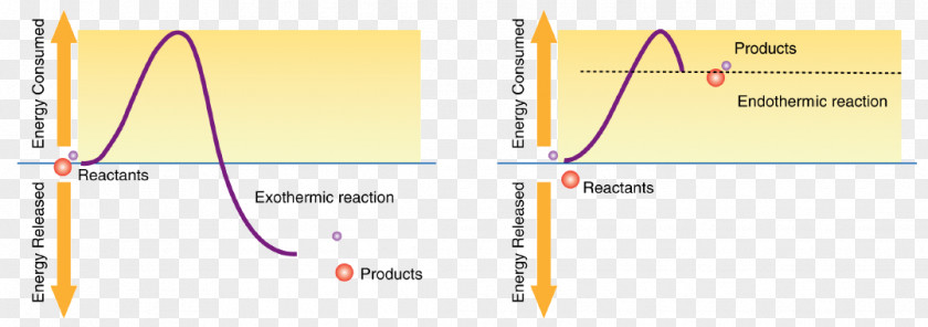 Chemical Reaction Anabolism Exothermic Catabolism Chemistry PNG