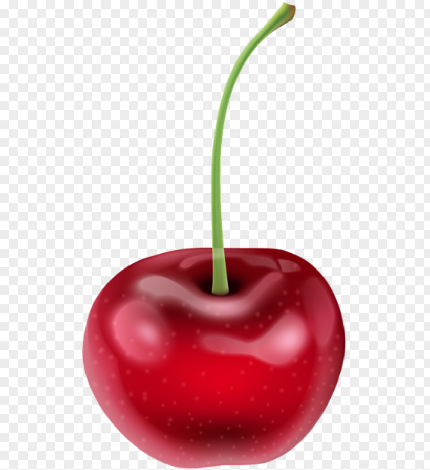 Cherry Plus Cherries Clip Art Image Drawing PNG