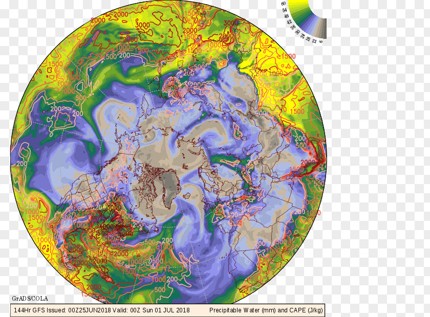 Earth World Globe /m/02j71 Organism PNG