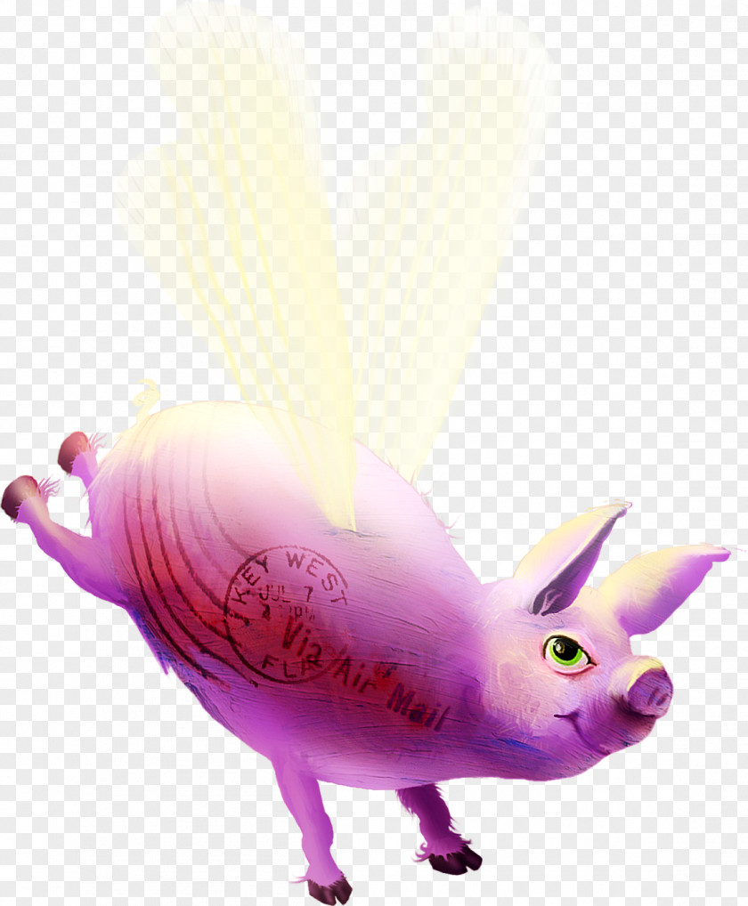Flying Pig Free Download Domestic Clip Art PNG