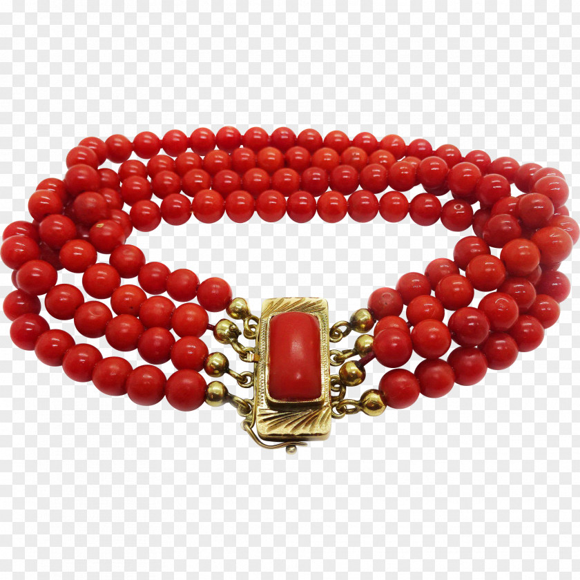 Gold Bead Red Coral Bracelet PNG
