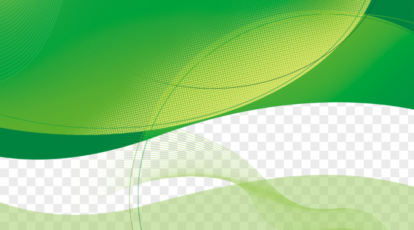 Green Line Decorative Pattern PNG