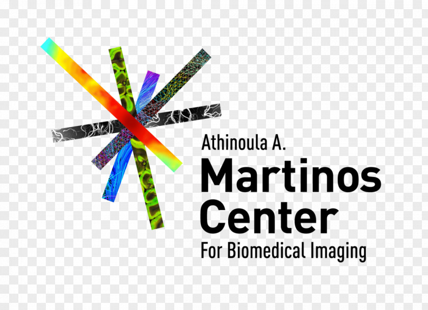 Health Harvard Medical School Massachusetts General Hospital Athinoula A. Martinos Center For Biomedical Imaging Medicine PNG