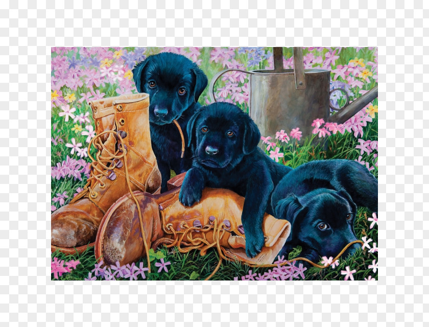 Puppy Labrador Retriever Jigsaw Puzzles Pet PNG