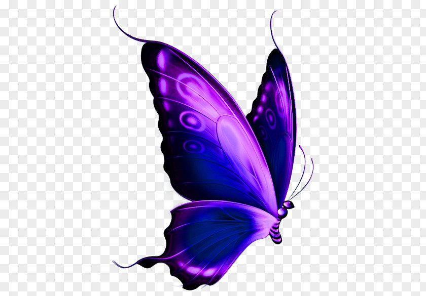 Purple Butterfly Cliparts Clip Art PNG