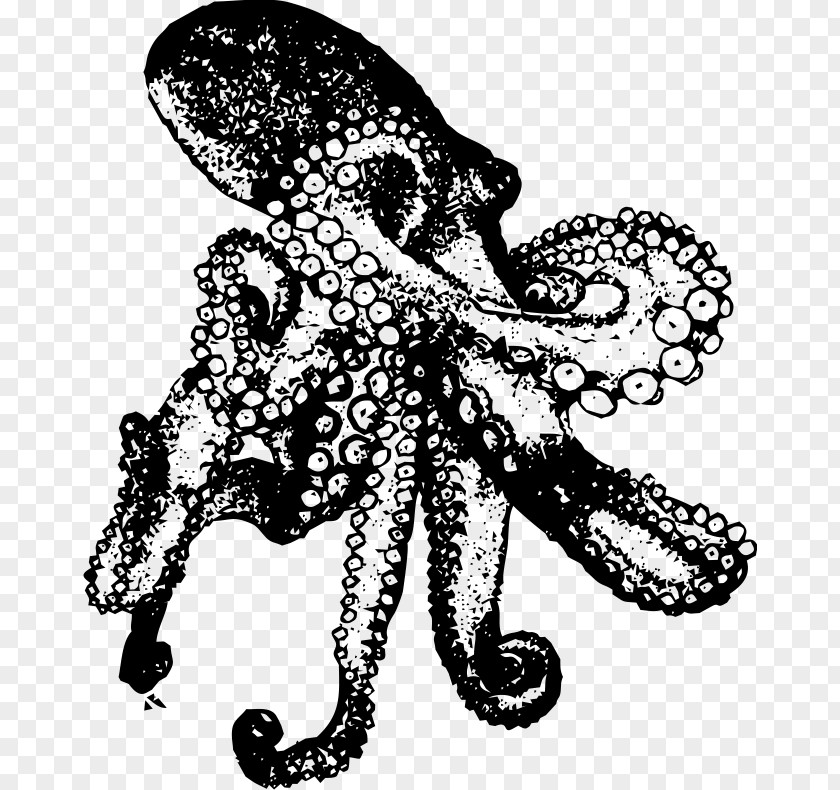 T-shirt Octopus Black And White Baby & Toddler One-Pieces PNG
