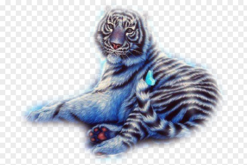 Tiger Baby Tigers Felidae Cat Lion PNG