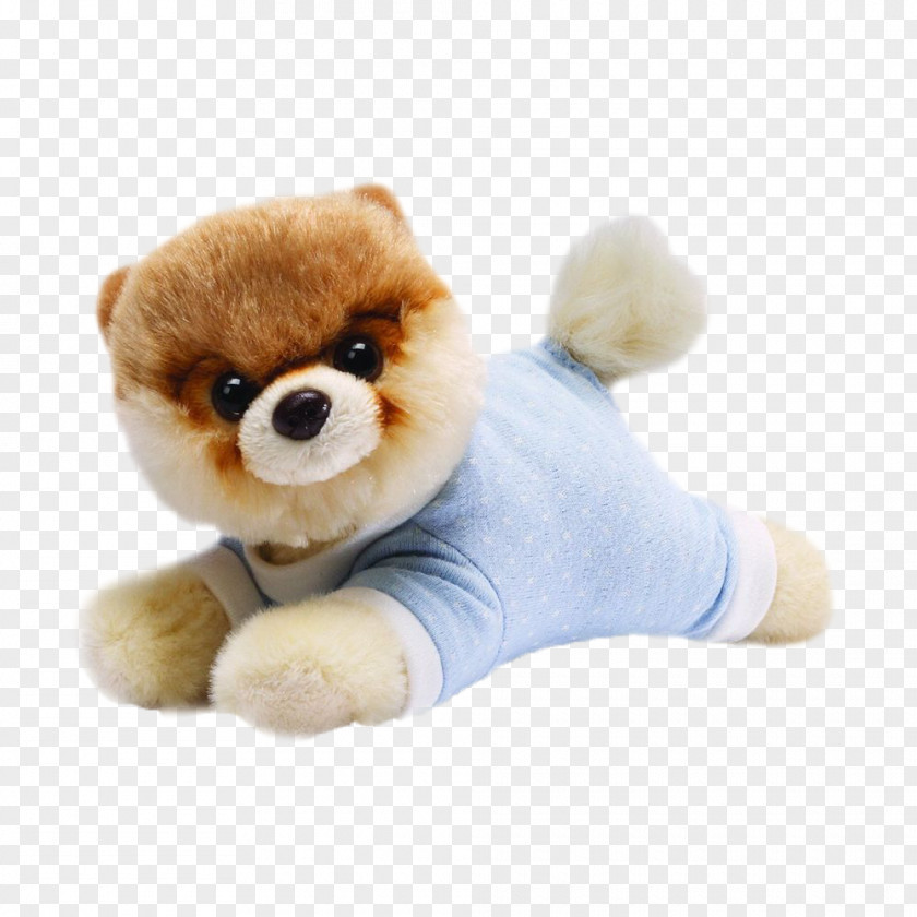 Cute Dog Pomeranian Boo Stuffed Animals & Cuddly Toys Gund PNG