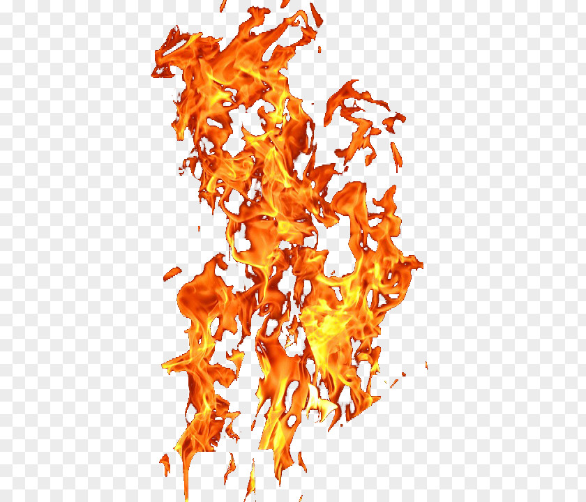 Flame Light Combustion Fire PNG