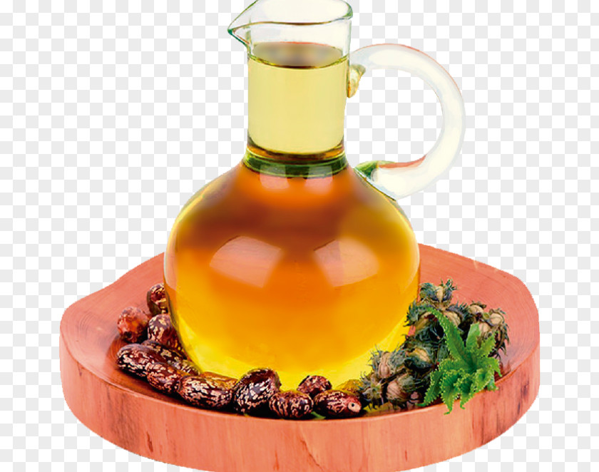 Oil Castor Ricinus Seed Fatty Acid PNG