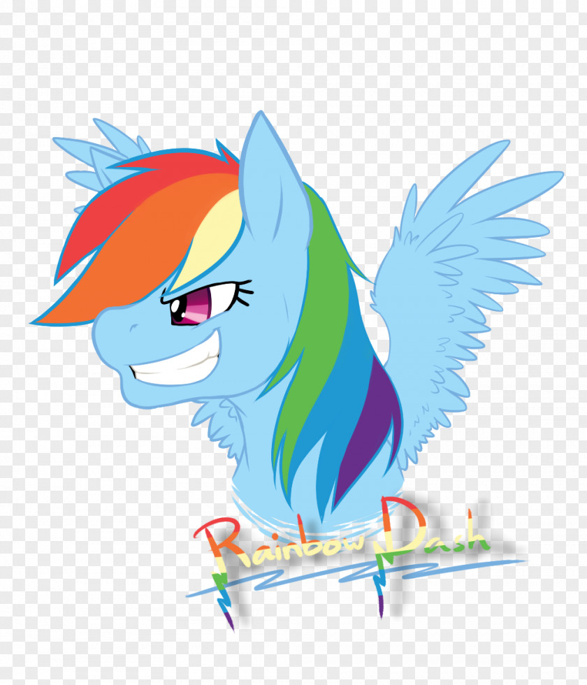 Rainbow Dash Fan Art Pony PNG