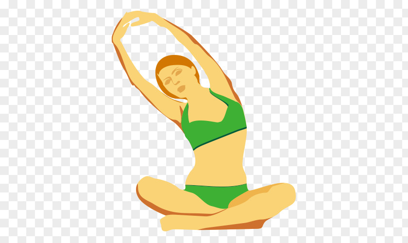 Sports Gymnastics Yoga Physical Exercise PNG