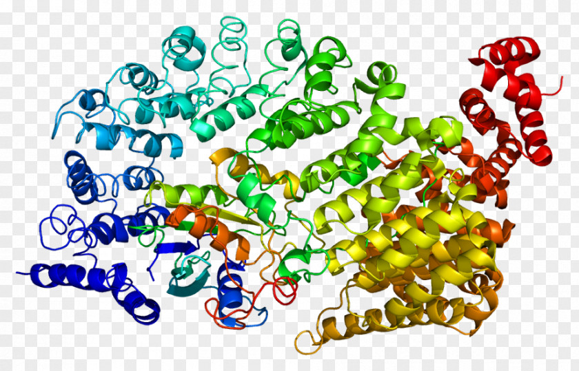 Transportin 1 Protein UniProt Wikipedia PNG