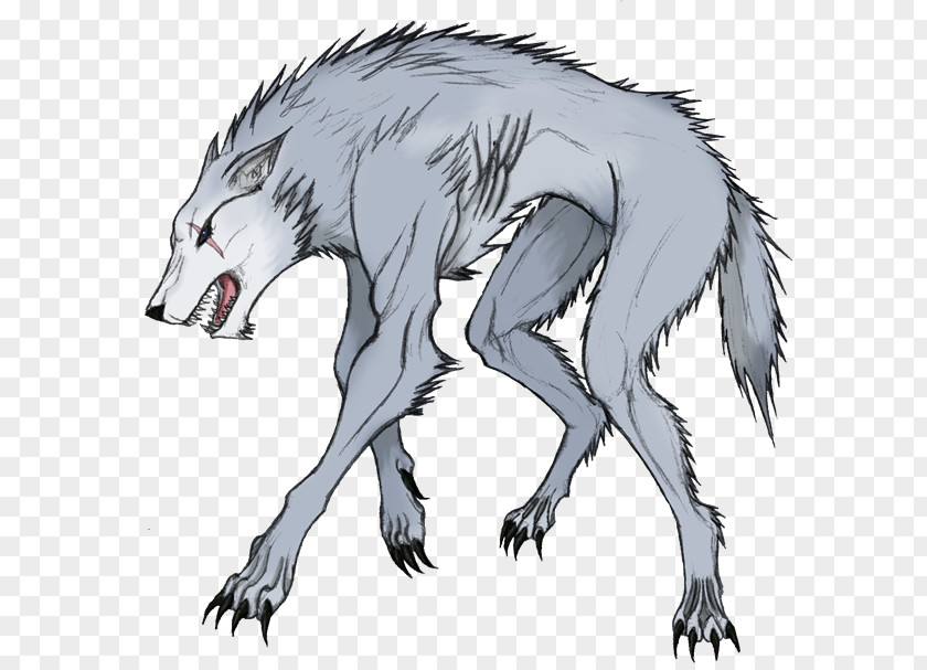 Werewolf Gray Wolf Legendary Creature Demon Berserker PNG