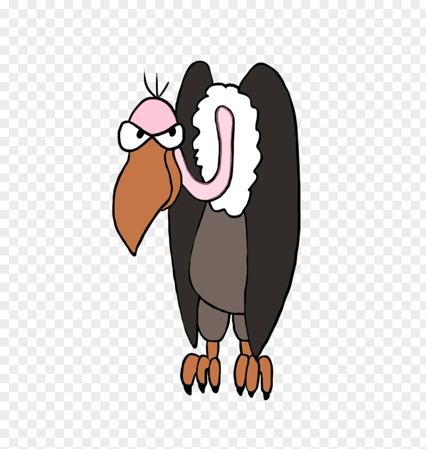 Clip Art Beaky Buzzard Drawing Image PNG