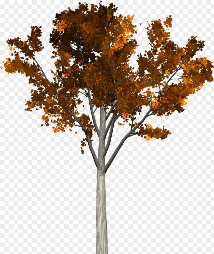 Falling Tree Branch Twig PNG