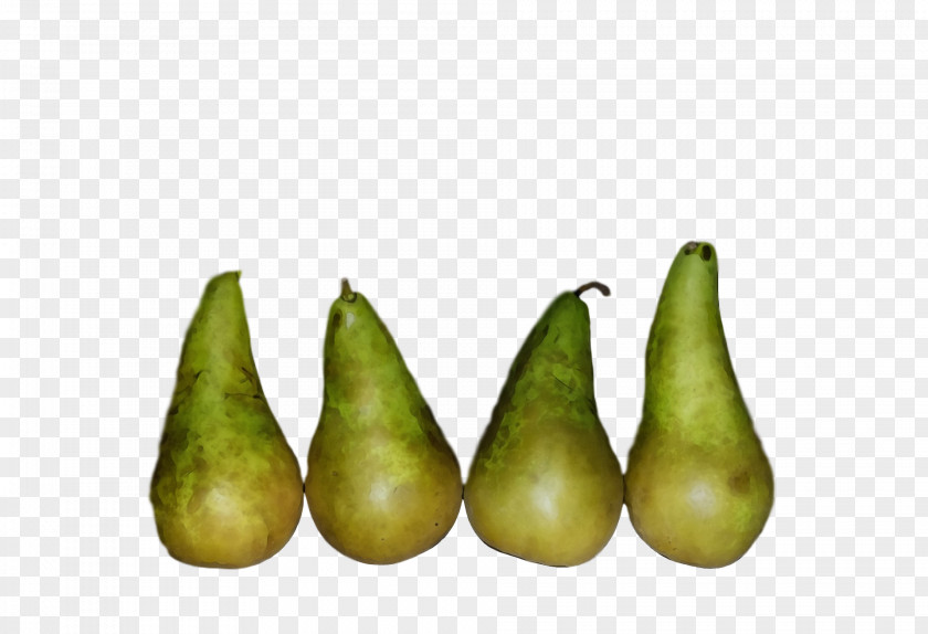 Pear Vegetable Fahrenheit PNG
