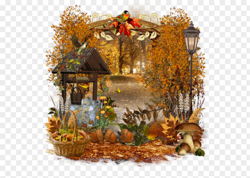 Cartoon Autumn Background Concentration PNG