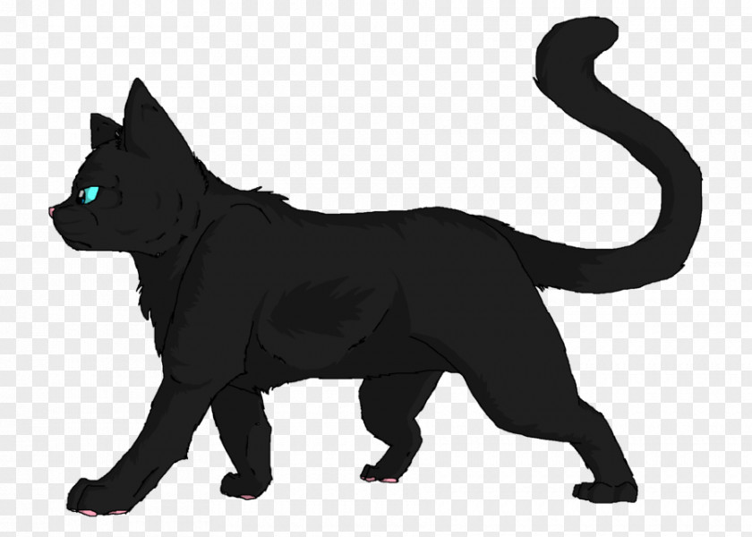 Dog Black Cat Whiskers Kitten PNG