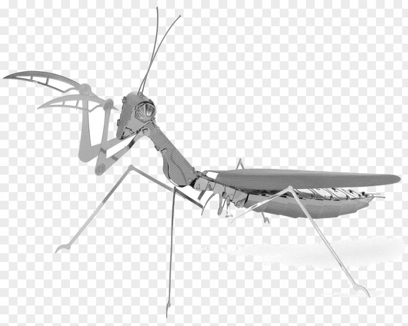 Insect Mantis Metal Earth Steel PNG