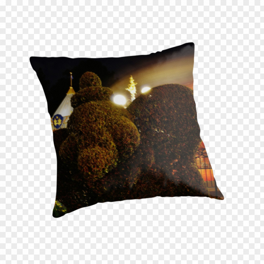 Pillow Throw Pillows Cushion PNG