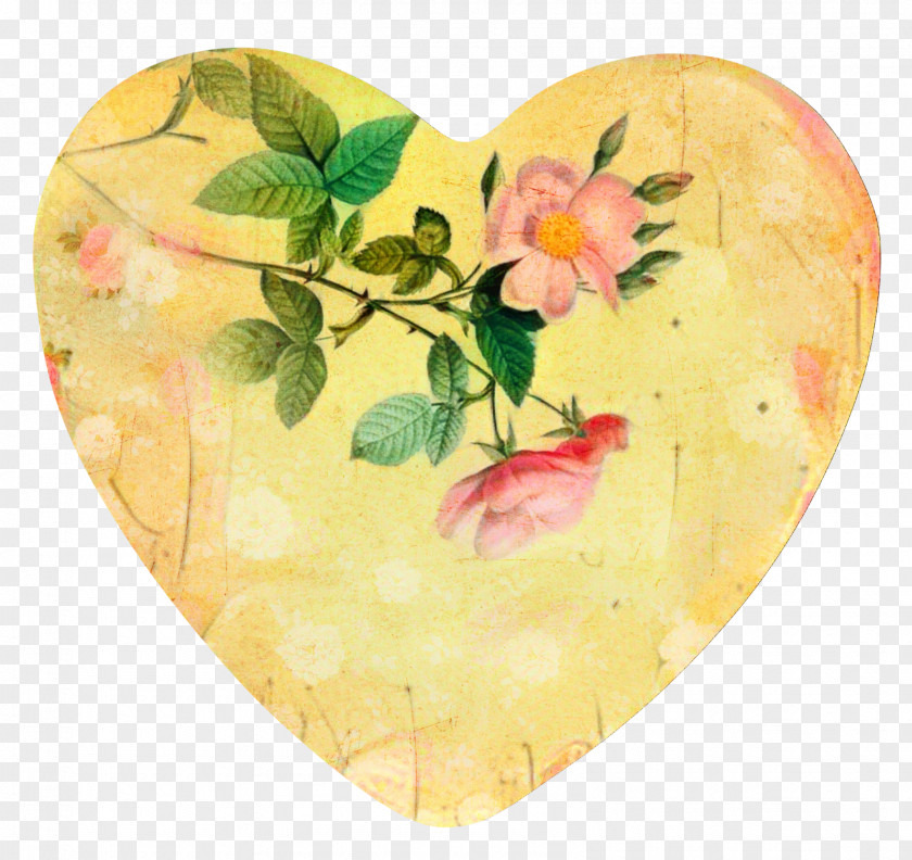 Rose Watercolor Paint Flower Background PNG