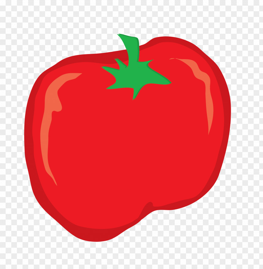 Bell Peppers Vector Graphics Clip Art Pepper Tomato Gumbo PNG