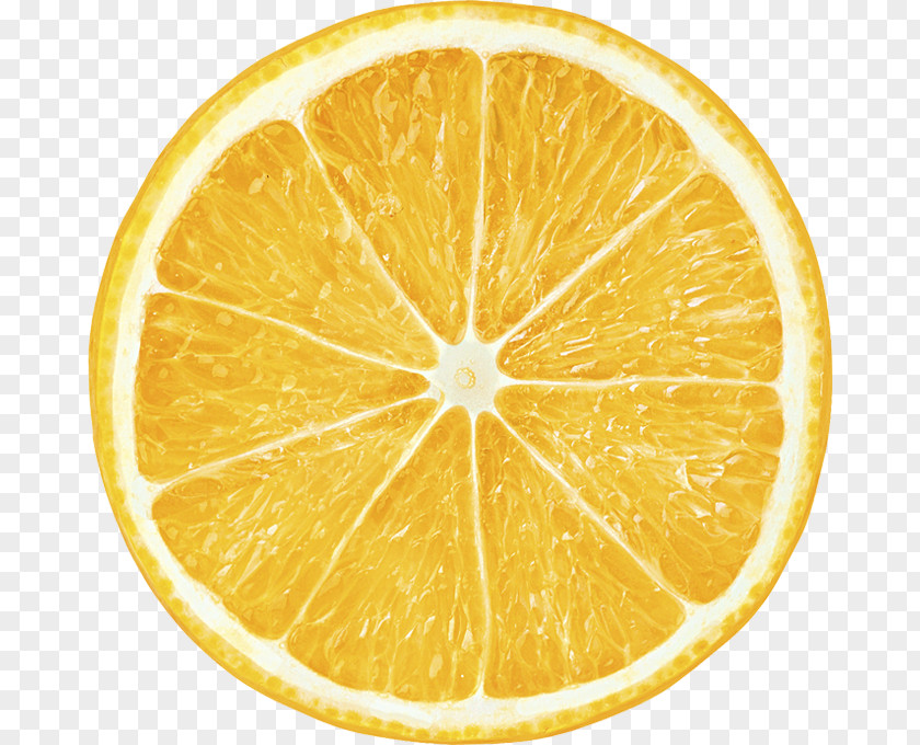 Citrus Juice Lemon Orangelo Grapefruit PNG