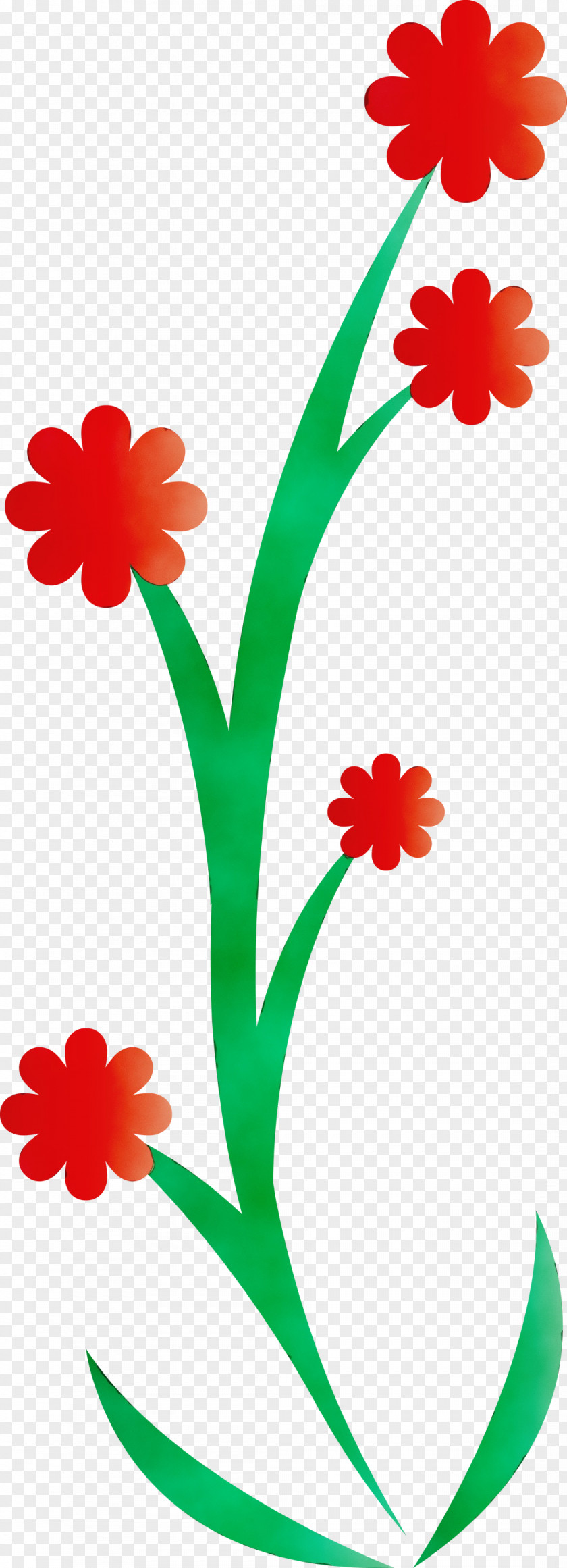 Floral Design PNG