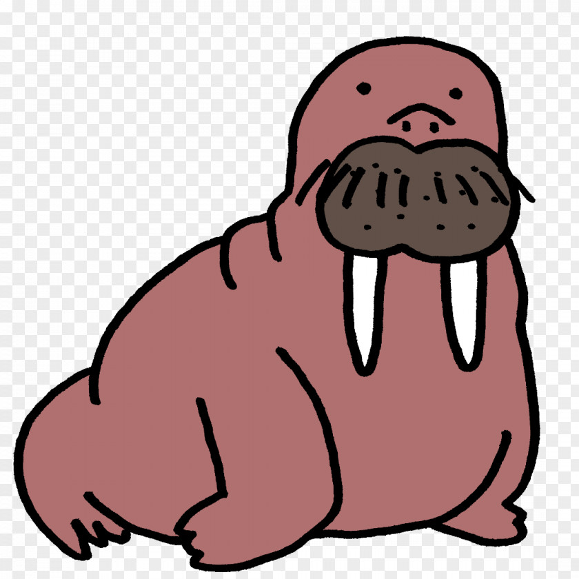 Walrus Animal World Get Vertebrate PNG