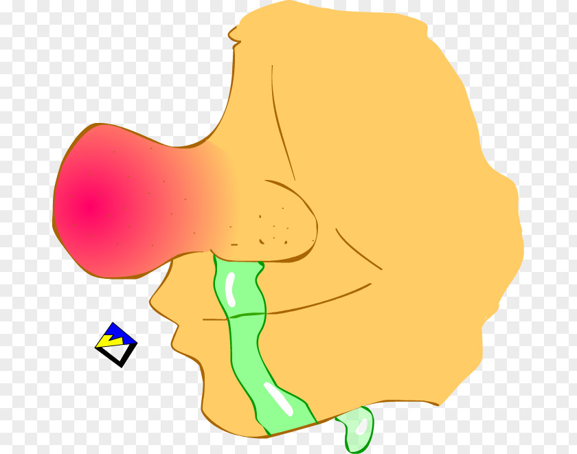Ear Mouth Clip Art PNG
