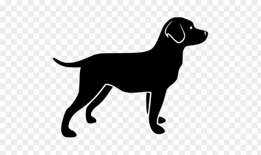 Labrador Retriever Clip Art PNG