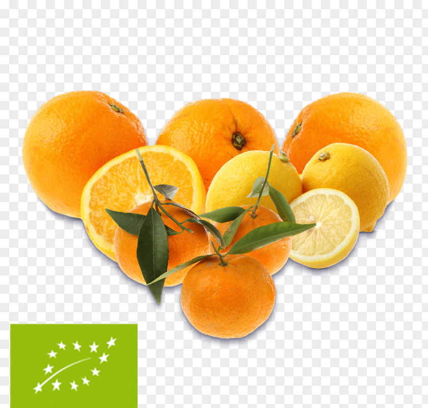 Lemon Clementine Mandarin Orange Grapefruit PNG