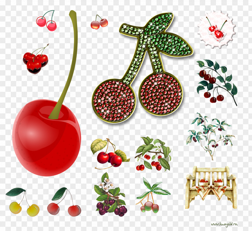Zaher Cherry Cerasus Clip Art PNG