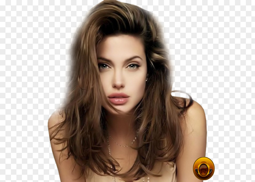 Angelina Jolie Actor Female Celebrity Film Director PNG