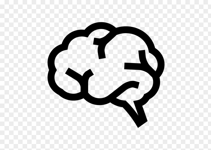 Brain Blood–brain Barrier Cognitive Training Human Head PNG
