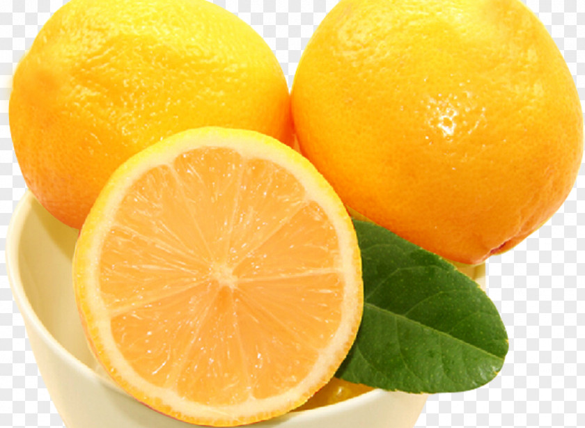 Orange Clementine Lemon Mandarin Lime Poster PNG