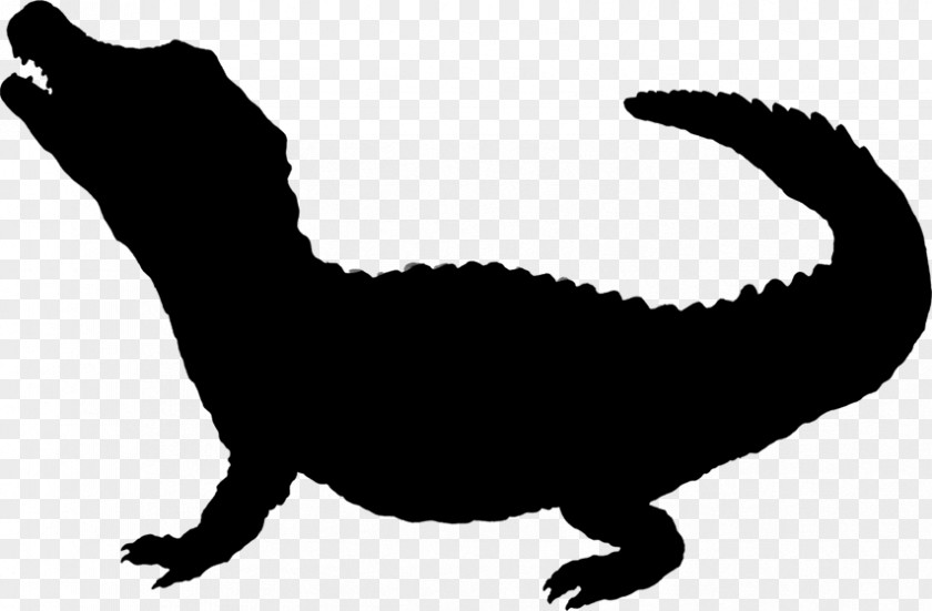 Whiskers Cat Tyrannosaurus Fauna Clip Art PNG