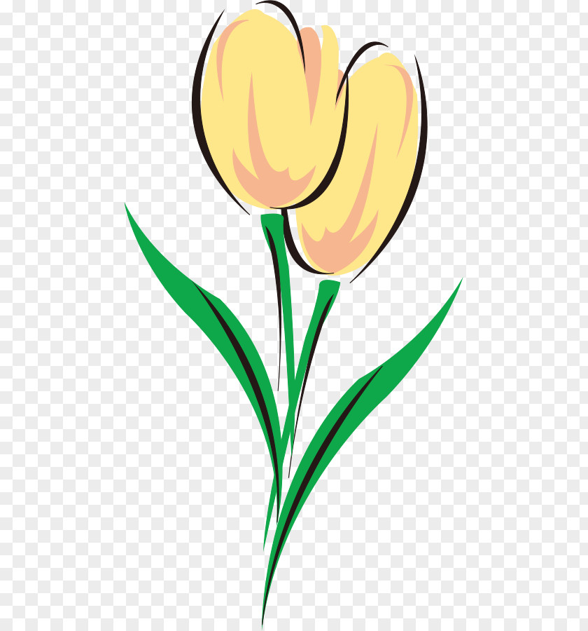 Arabic Tattoos Celebrities Tulip Cut Flowers Clip Art Tattoo PNG